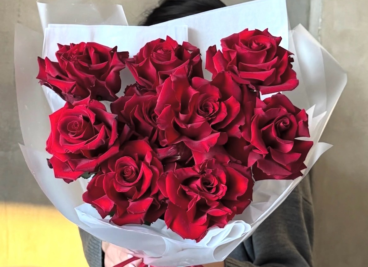 Французские бордовые розы 🌹